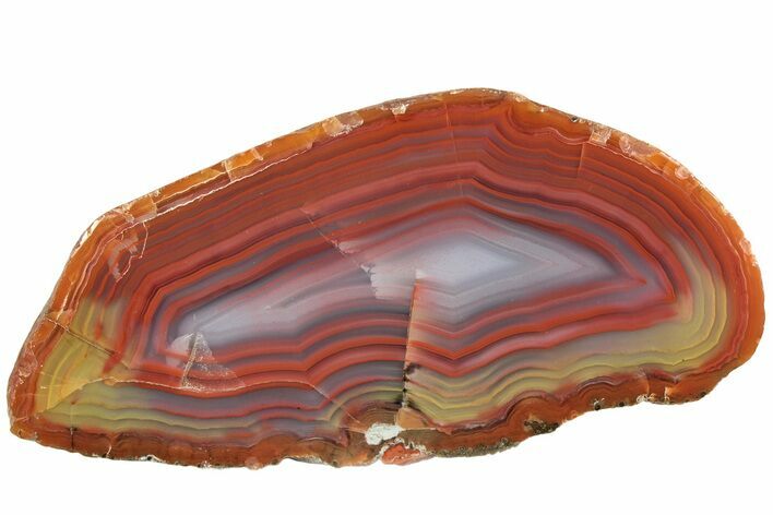 Colorful, Polished Patagonia Agate - Highly Fluorescent! #214921